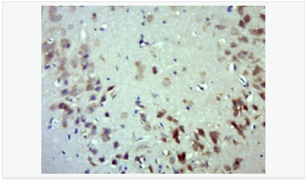 6052ab73d7e3d.png image.png