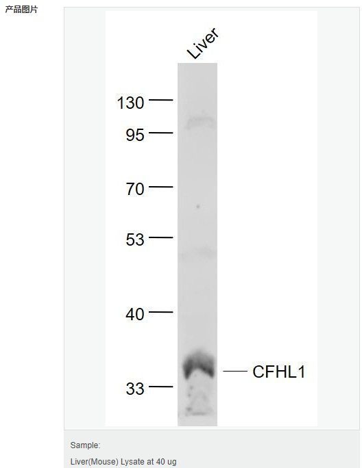 6052ad114f4b0.png image.png