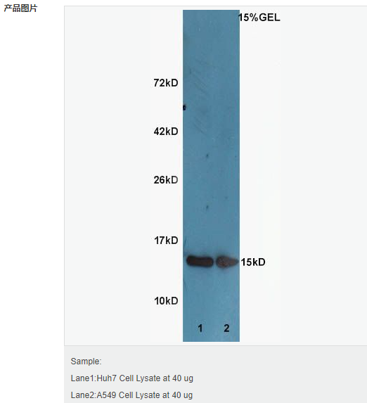 60544e566a0a7.png image.png