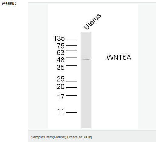 60544f9625e6f.png image.png