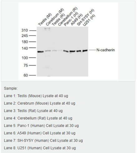 6057fd957e754.png image.png