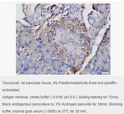 6058307d10a9c.png image.png