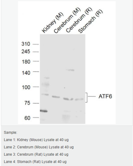 6058354eabb37.png image.png