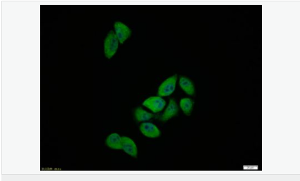 6058470e1e441.png image.png