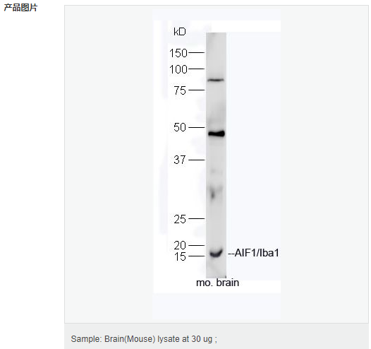 60584dc37adc4.png image.png