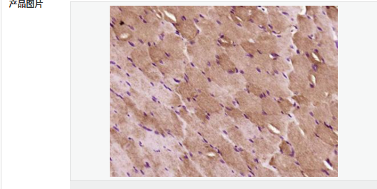 605855dc7c565.png image.png