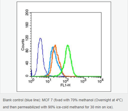 605958049a5f5.png image.png