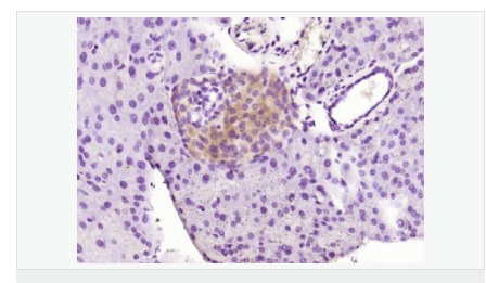 605992031091b.png image.png