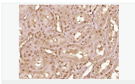 605d82a3c8d99.png image.png