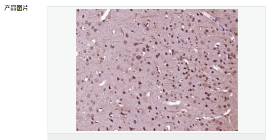 605d9f47845ec.png image.png