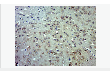 60616eae9ced5.png image.png