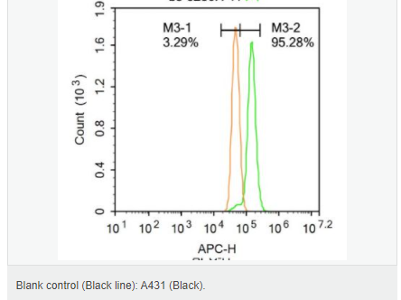 60616eba59ef9.png image.png