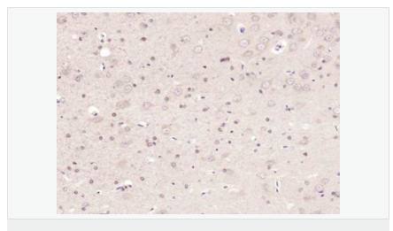 6063d63c39917.png image.png