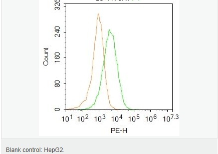 6063e2379830c.png image.png