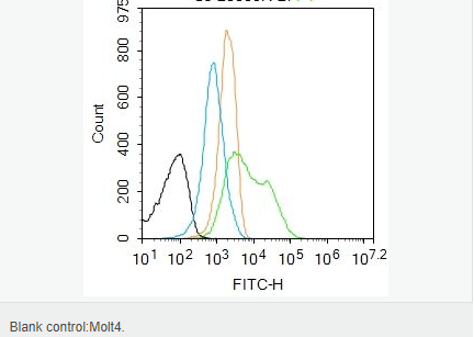 6066870a79746.png image.png