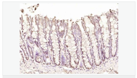 6066b319e9c42.png image.png