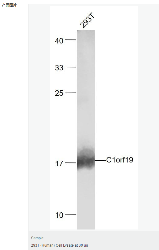 6066c3a96b4b5.png image.png