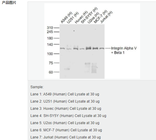 6066c4b2a3f5a.png image.png