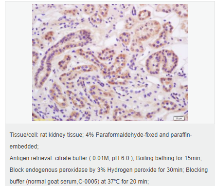 6066c5384394e.png image.png