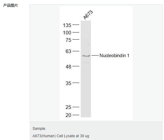606bc88f5ed98.png image.png