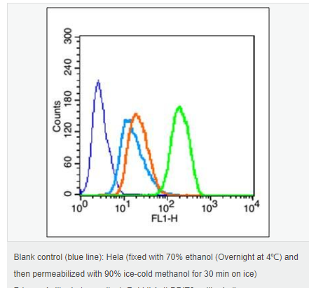 606bcc64af84f.png image.png