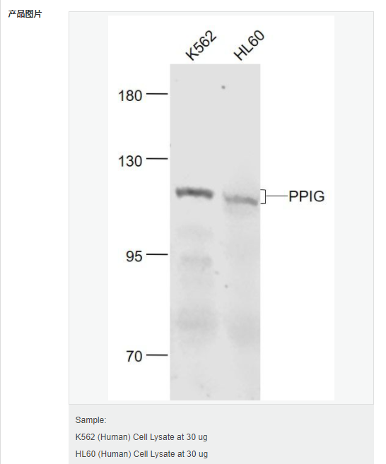 607656c226c4b.png image.png