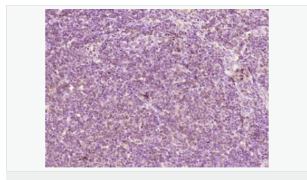 60765b53e07d2.png image.png