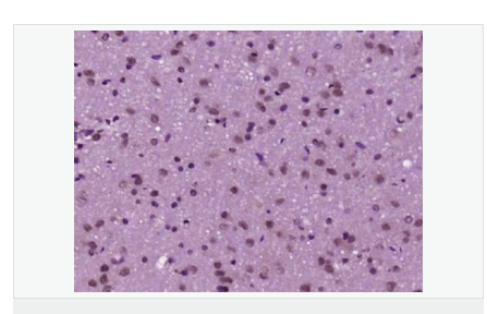 60765c29efb01.png image.png