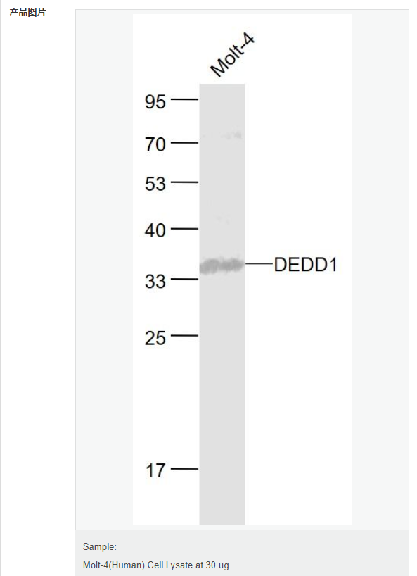 607794aaa3ca5.png image.png