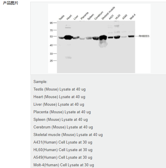 6078f44b17774.png image.png