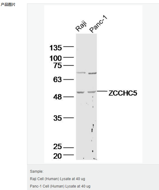 6079445dbed1a.png image.png